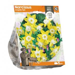 Baltus Narcissus Jonquilla Pipit bloembollen per 5 stuks